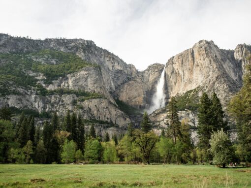 7 Epic Family Adventures in California’s National Parks