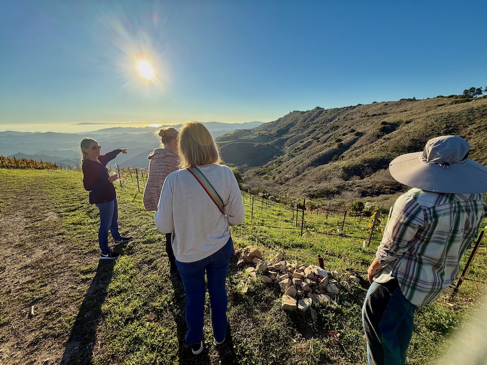 Ojai mountain estate vineyard tour with women