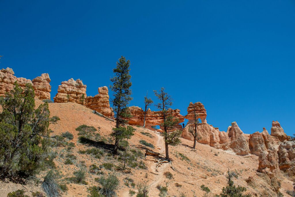 Sandstone rock formations along mountain ridge.