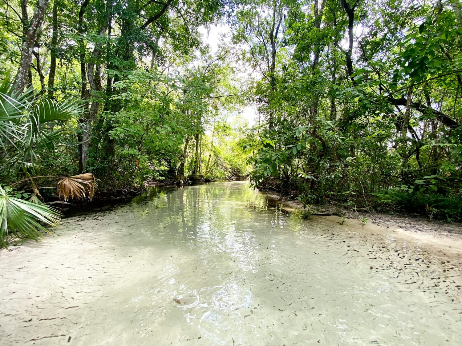 Rock Springs in Florida. Best hot springs in Florida. Natural springs.