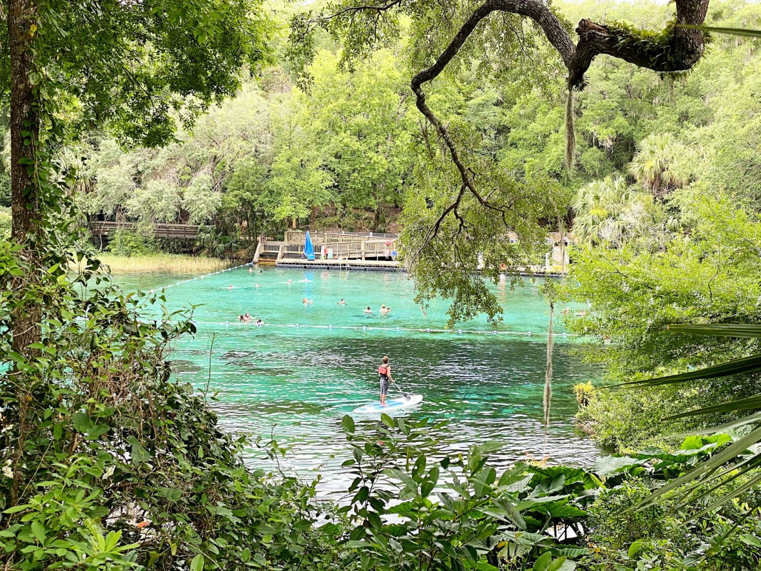 People having fun at Rainbow Springs in Florida. Best hot springs in Florida and natural springs to visit.