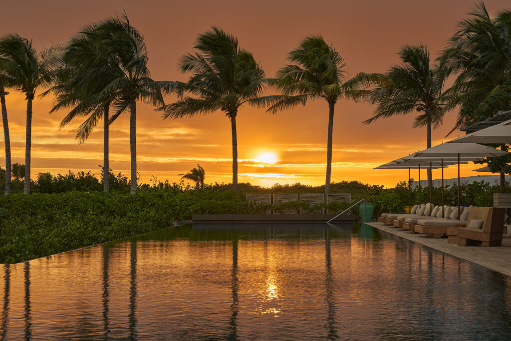 sunset with palm trees and pool