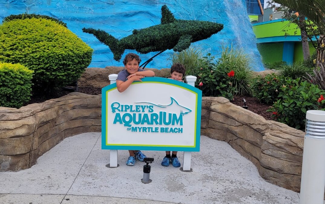 From Stingrays to Whale Sharks: The 14 Best Aquariums in the U.S.