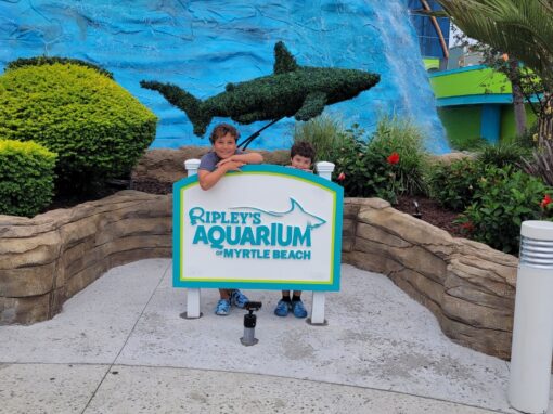 From Stingrays to Whale Sharks: The 14 Best Aquariums in the U.S.
