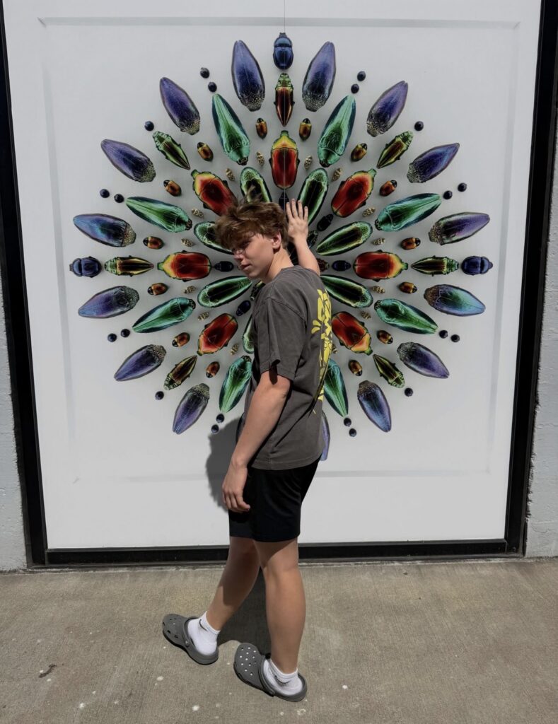 Exquisite creatures art exhibit, with colored beetles.