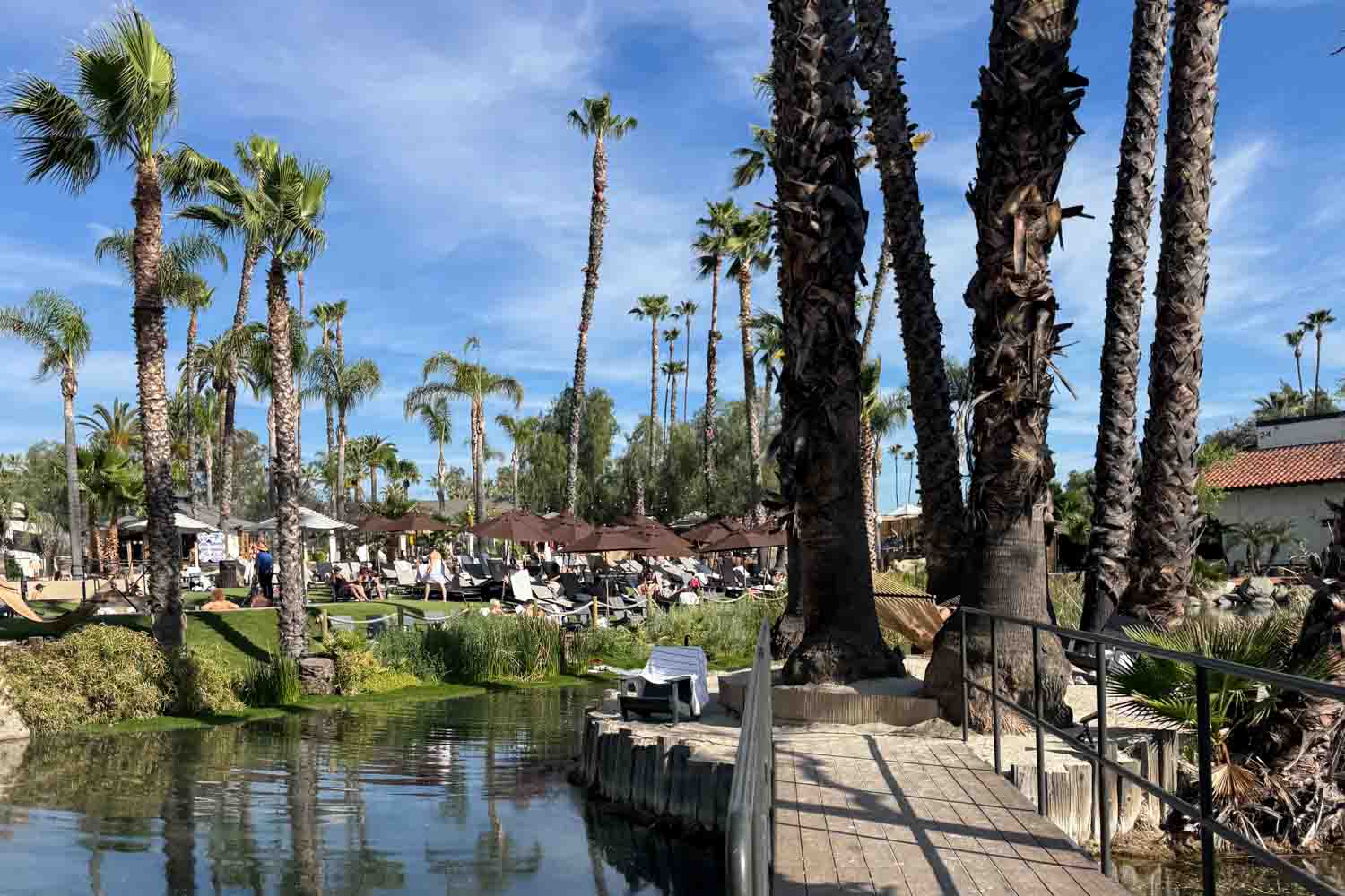 Palm trees line the resort grounds beside a calm pond. Lounge chairs and umbrellas sit across the water.