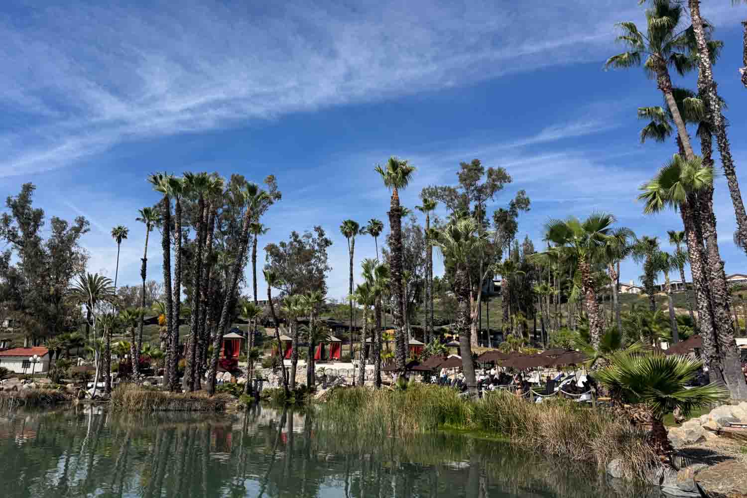 A quiet lake is lined with tall palm trees. Lounge chairs and shaded seating areas sit across the water under a bright blue sky.