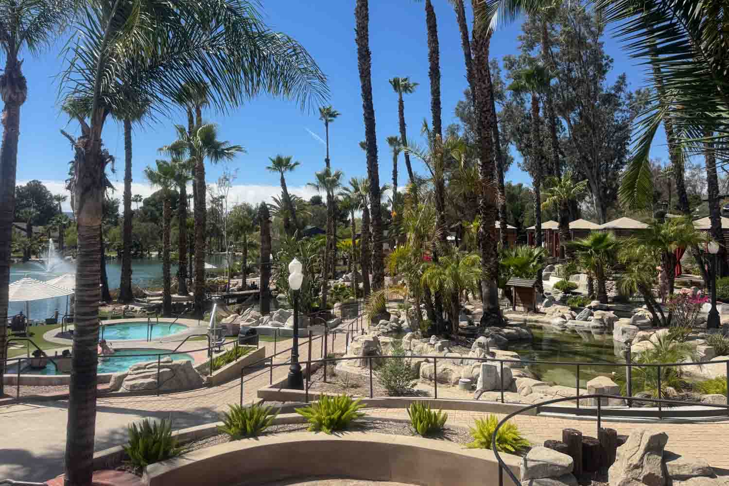Palm-filled resort grounds with winding paths. Rocks. Pools. And a small pond in bright daylight. Lounge chairs and umbrellas are visible near the water.