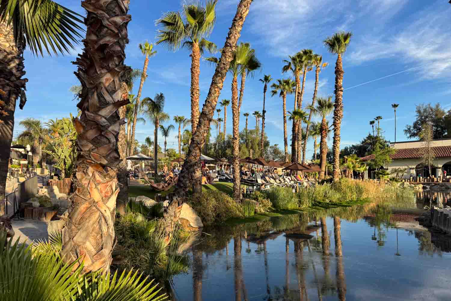 Palm trees reflect in a calm resort pond beside lounge chairs and cabanas in warm afternoon light. The scene shows the resort grounds with water features and tropical landscaping.