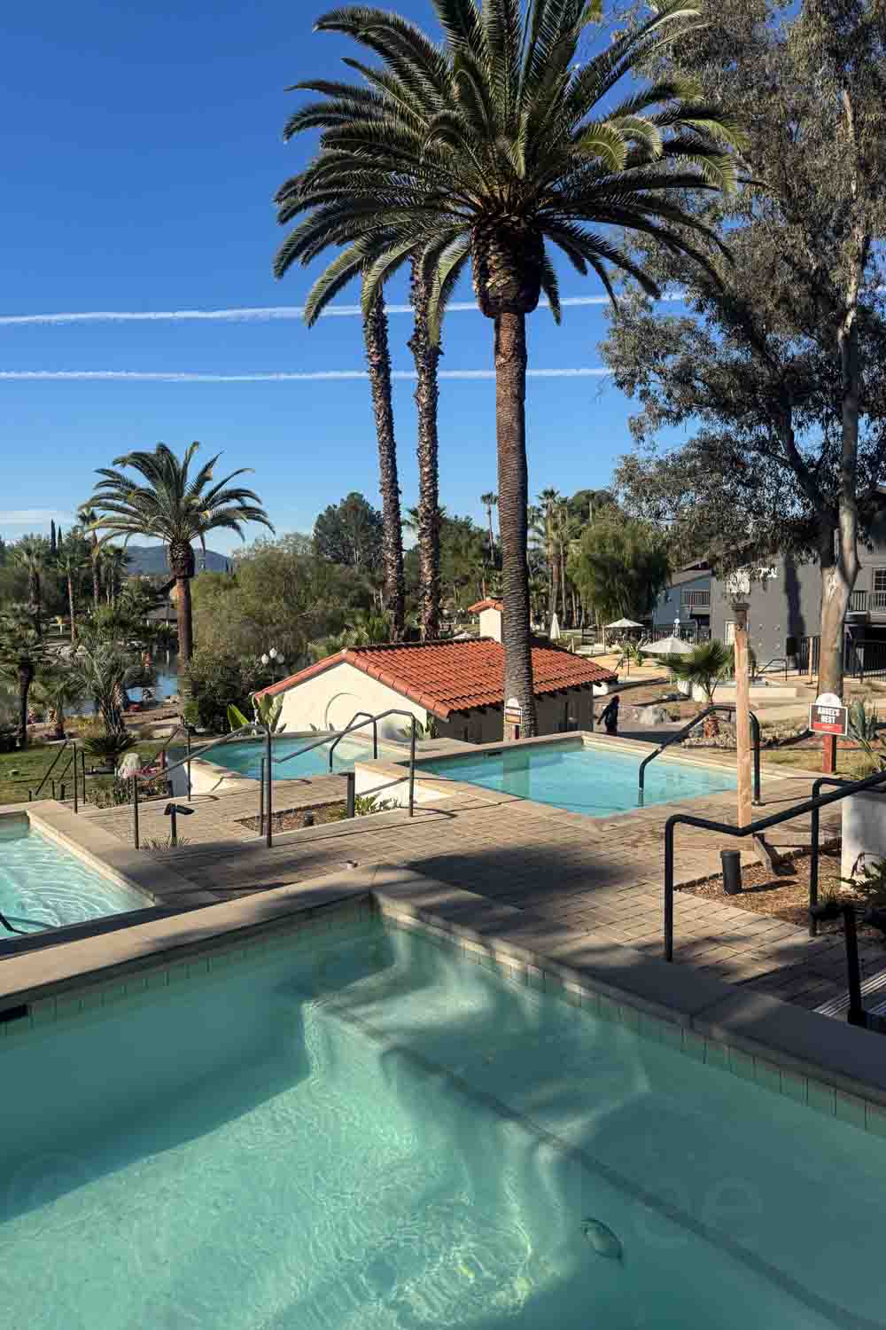Clear resort pool surrounded by tall palm trees. Red tile roofs. And white buildings on a sunny day. The pool area has steps. Railings. And multiple connected swimming areas.