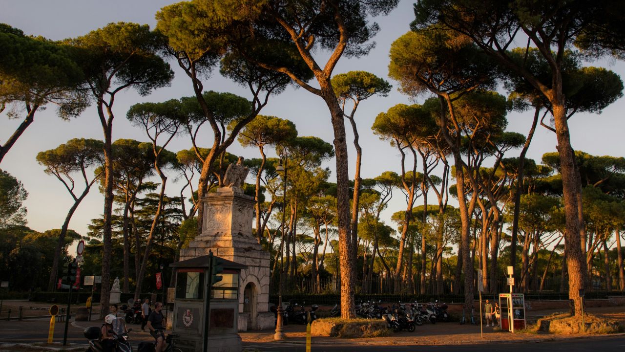Beautiful, lush trees in the entrance of the Villa Borghese park in Rome, Italy
