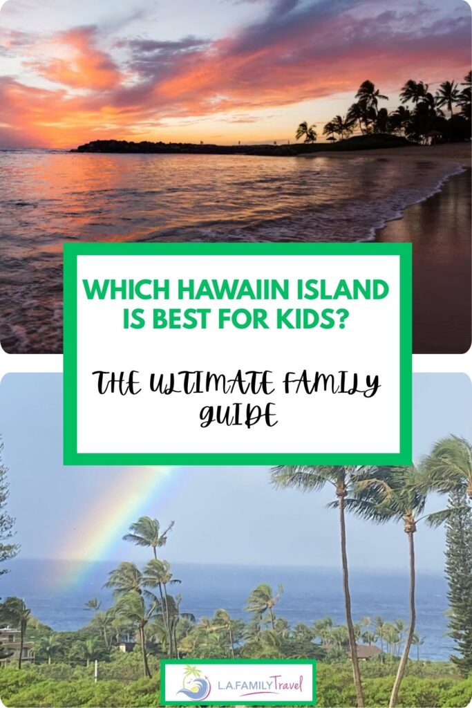 hawaii pin