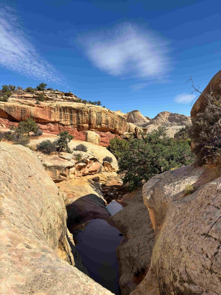small creek along capitol reef trail