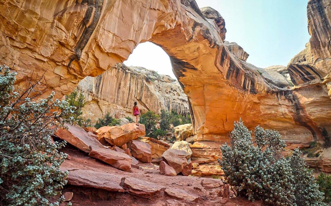 Capitol Reef National Park with Kids: Best Hikes, Tips & Where to Stay (2026)