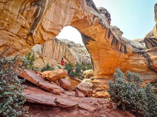 Capitol Reef National Park with Kids: Best Hikes, Tips & Where to Stay (2026)