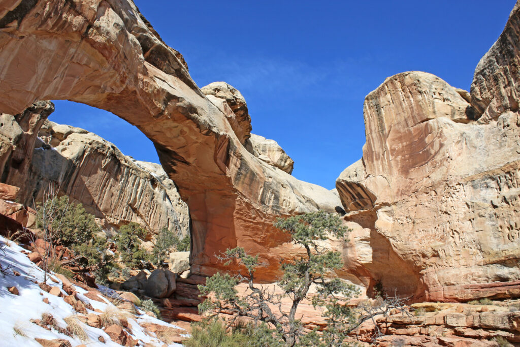 rock bridge: Hickman Bridge