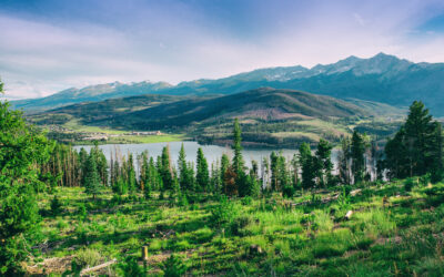 Budget-Friendly Family Getaways: 5 Deals That Actually Deliver