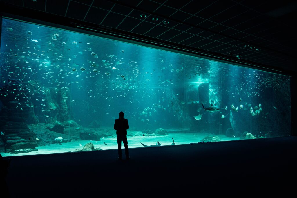 A man looking at a fish aquarium.
