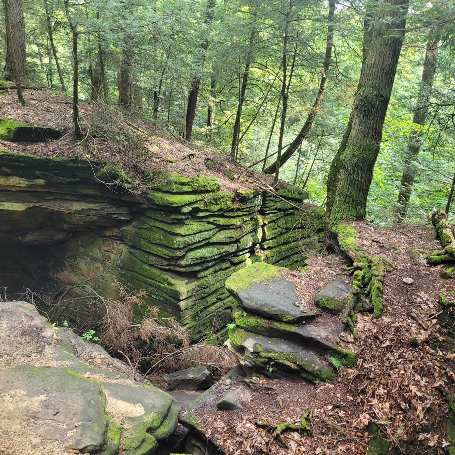 Picture of rocks and greenery at Cuyahoga Valley National Park. CVNP for Families. 