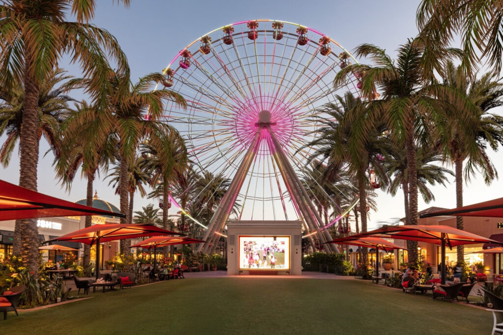 ferris wheel between palm trees