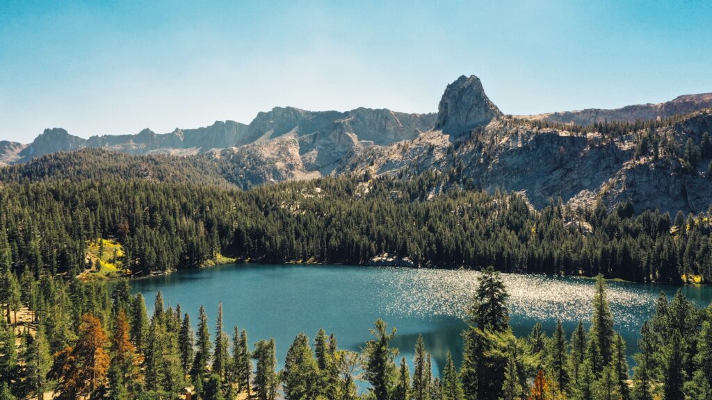 lake surrounded by mountains and lush trees