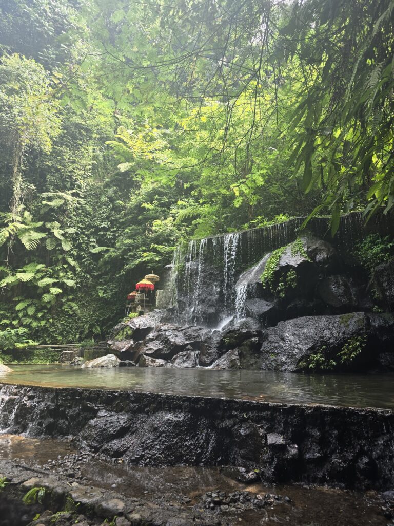 Goa Raja Waterfall in Bali, Indonesia 
